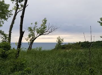 michigan/warren-dunes-state-park/attraction/love-tree