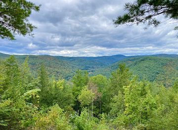 massachusetts/berkshires/attraction/chester-blandford-state-forest