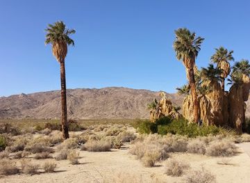 california/joshua-tree/attraction/oasis-of-mara-nature-trail-trailhead