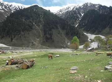 pakistan/naran/attraction/naran-swiss