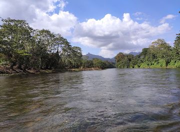 honduras/rio-platano-biosphere-reserve/attraction/rio-platano