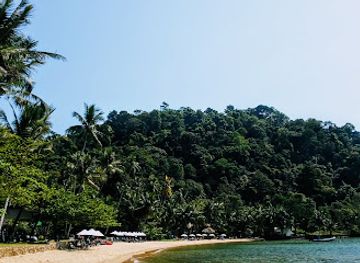 thailand/koh-chang/attraction/tree-top-adventure-park-koh-chang