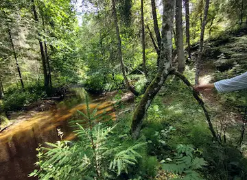 Skaļupes Avots (Natural Spring)