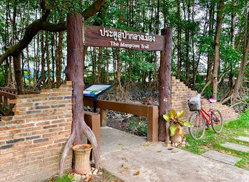 thailand/ranong/attraction/mangrove-in-the-city-centre