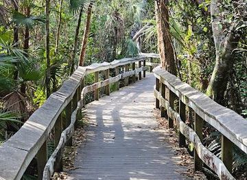 florida/homestead/attraction/mahogany-hammock-trail