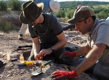 new-mexico/northeast-new-mexico/attraction/mesalands-dinosaur-museum-and-natural-sciences-laboratory