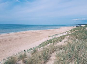 lithuania/palanga-beach/attraction/meiles-aleja