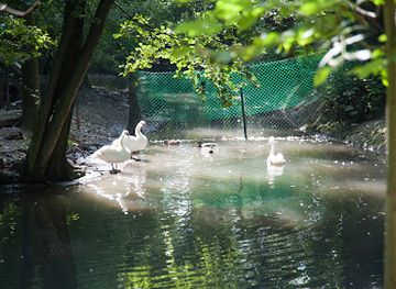 bosnia-and-herzegovina/vrelo-bosne-park/attraction/pionirska-dolina