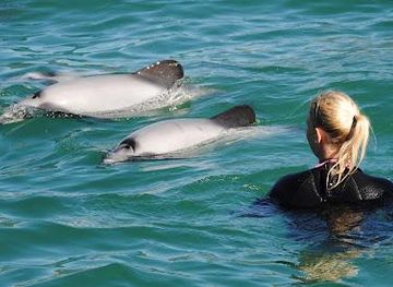 new-zealand/christchurch/attraction/black-cat-cruises