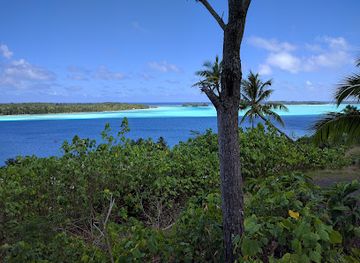 french-polynesia/bora-bora/attraction/wwii-guns-faanui