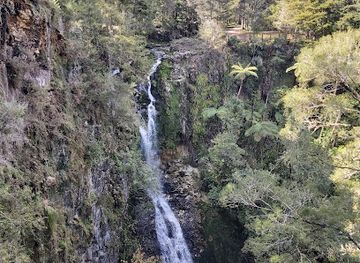 new-zealand/whangarei/attraction/paranui-falls-lookout