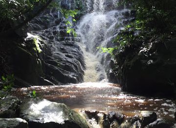 antigua-and-barbuda/barbuda/attraction/christian-valley-waterfall