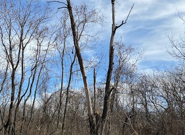 kansas/kansas-city/attraction/village-west