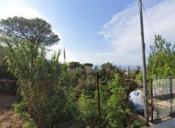 italy/positano/attraction/azienda-agricola-la-sorgente