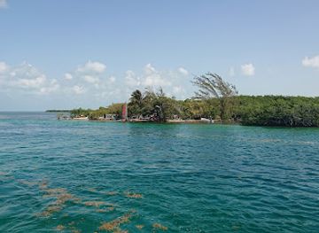 belize/caye-caulker/attraction/tarpon-feeding-dock