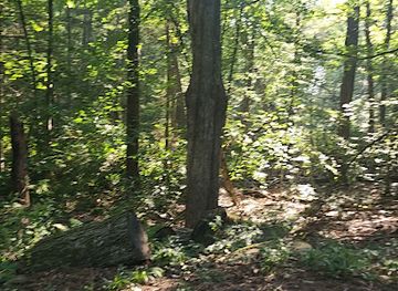 new-hampshire/monadnock-region/attraction/little-monadnock-trail