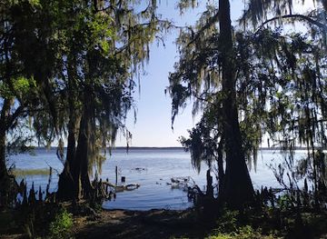 florida/gainesville/attraction/palm-point-park