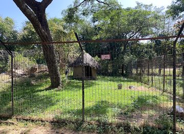 nigeria/tiv/attraction/jos-museum-and-zoo