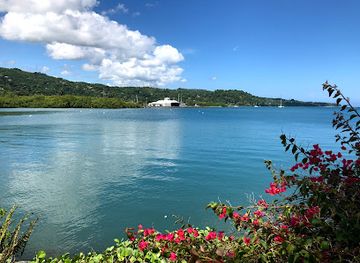 jamaica/port-antonio/attraction/errol-flynn-marina