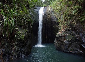 philippines/mimaropa/attraction/kuyawyaw-waterfalls