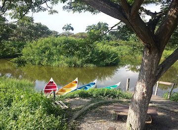 ecuador/galapagos-islands/attraction/ecovillage-santay-island