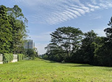 singapore/bukit-timah-nature-reserve/attraction/hillview-park-connector