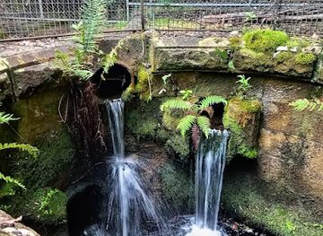 australia/mount-wellington/attraction/wishing-well