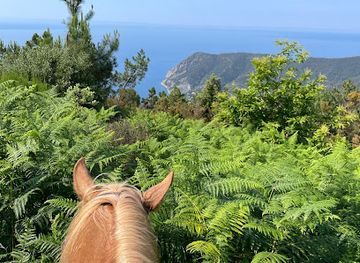 italy/cinque-terre/attraction/d-ranch-horse-riding-cinque-terre