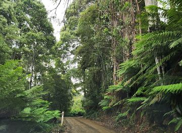 australia/mount-field-national-park/attraction/junee-caves