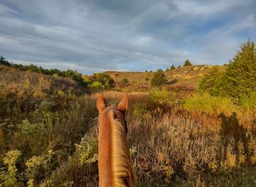 kansas/eastern-kansas/attraction/kanopolis-lake-state-park