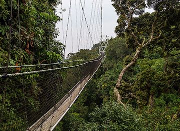 burundi/nyungwe-forest-national-park/attraction/canopy-walkway