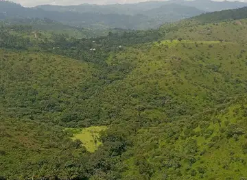 Espace vert d'amendoc