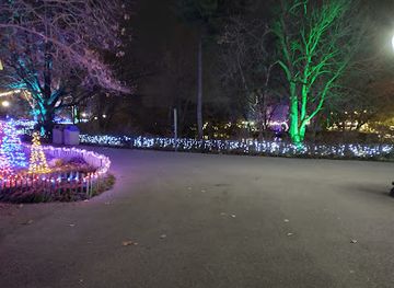 missouri/st-louis/attraction/wild-lights-at-the-stl-zoo