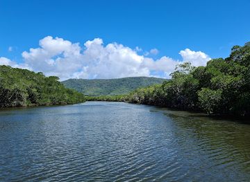 australia/port-douglas/attraction/lady-douglas-river-cruises