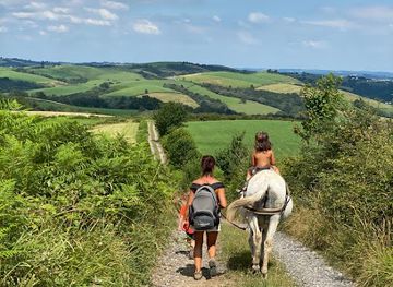 france/pays-basque/attraction/ferme-decouverte-asinerie-de-pierretoun-randonnees-avec-anes