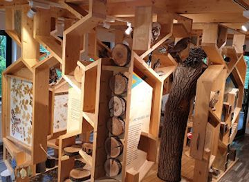 hungary/sopron/attraction/kohalmy-hunting-museum-forest-pub