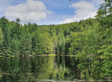 germany/bavarian-forest-national-park/attraction/martinsklause