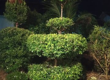 indonesia/lampung/attraction/tempat-bebas