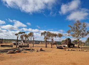 australia/far-west/attraction/silverton-outback-camels