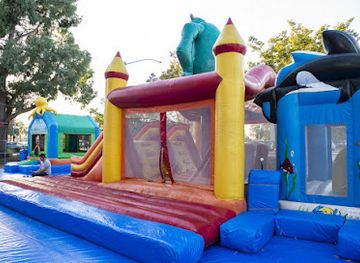 california/san-lorenzo/attraction/abc-tree-farms-pick-of-the-patch-pumpkins