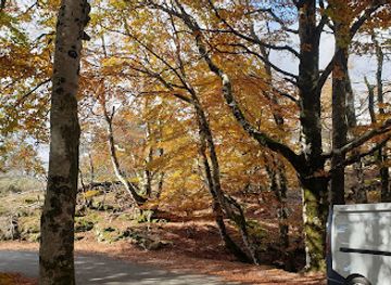 france/languedoc-roussillon/attraction/source-de-l-agout
