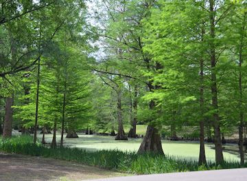 mississippi/the-delta/attraction/greenville-cypress-preserve-trust