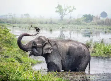 Chitwan National Park