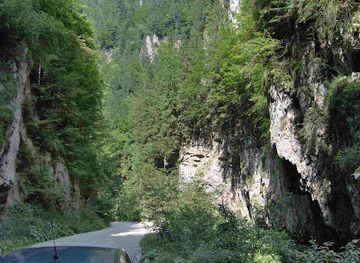 romania/muntenia/attraction/pestera-coltul-surpat