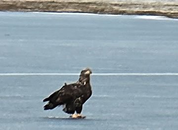 wisconsin/chequamegon-nicolet-national-forest/attraction/chequamegon-nicolet-national-forest-headquarters