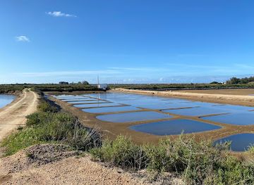 portugal/ria-formosa-natural-park/attraction/lands-eco-boat-tours-main-office-and-departures