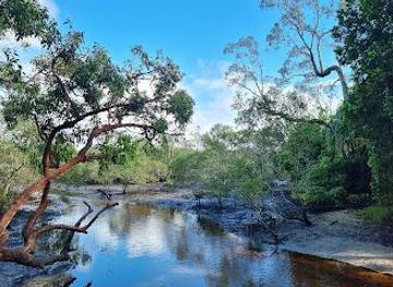 australia/brisbane/attraction/myora-springs