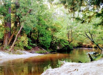 alabama/fairhope/attraction/bohemian-park-fairhope-al