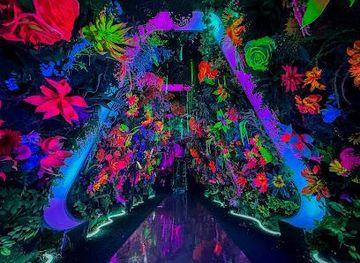 new-jersey/jersey-city/attraction/inter-iam