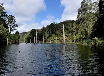 australia/eastern-victoria/attraction/great-otway-national-park